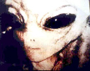 20100421NLO17