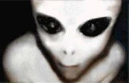 20100421NLO23