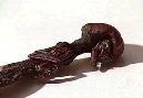 20100423NLO07