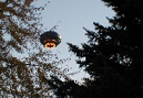 20100424NLO0027
